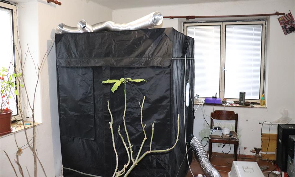 2020-11-30-1019domaci pestirna_a.JPG